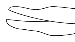 Scissors, 10 mm long blades
